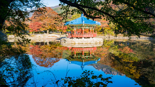 istock Autumn leaves at Uhwajeong. 1412798425