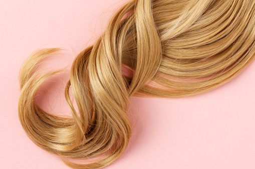 Long golden blond curly hair. A part of blond hair top view on pink background.