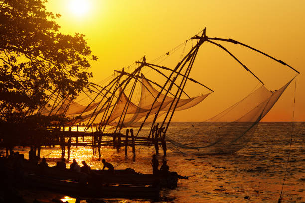 Traditional chinese fishing nets in Kochi, India at sunrise The fishermen's harbour in Fort Kochin, Kerala, India. cochin kerala india chinese fishing net stock pictures, royalty-free photos & images