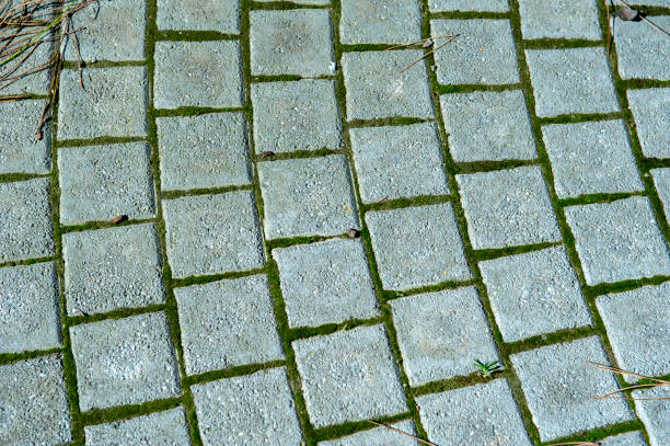 Bricks Pavemenet Pattern Background