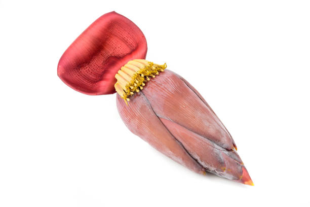 Banana blossom isolated on white background