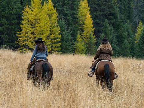Two female horseback riders going across a field. This was during a horse round-up photo shoot and the employees / riders have a great cowgirl look.
