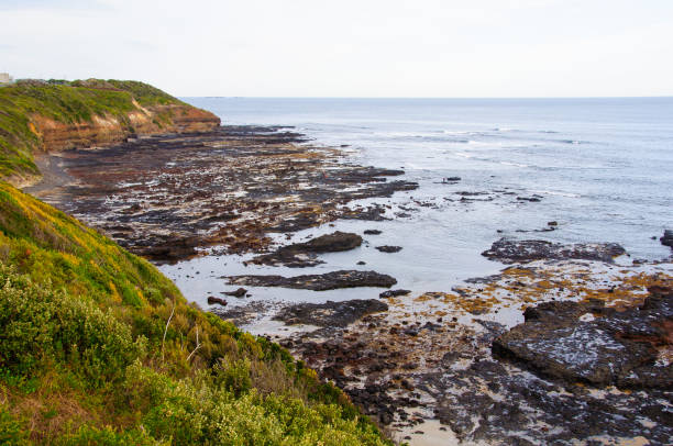 istock Mushroom Reef Marine Sanctuary - Flinders 1412815952