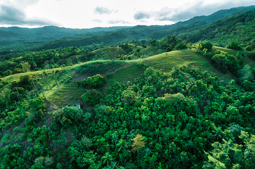 Top aerial view over green jungle landscape
Siquijor island, The Philippines