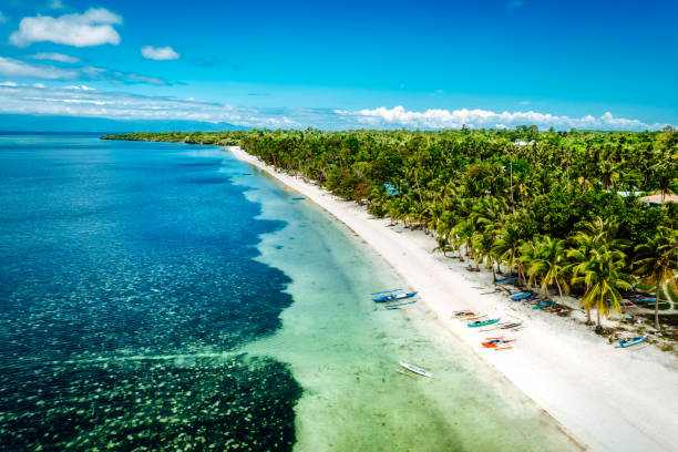 istock beaches on Siquijor island Philippines 1412817537
