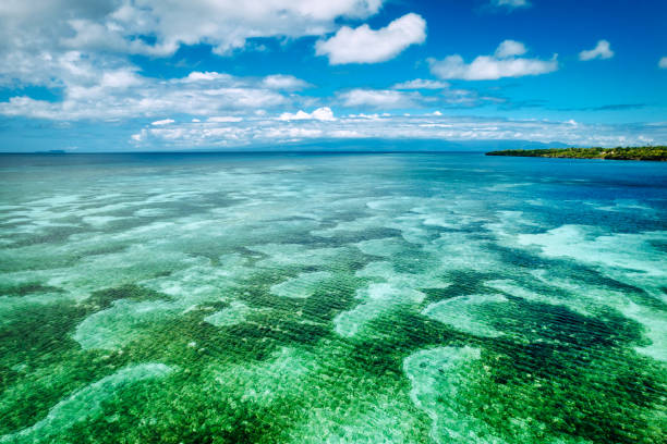 beautiful beaches clear water on Siquijor island Philippines beautiful beaches clear water on Siquijor island Philippines siquijor island stock pictures, royalty-free photos & images