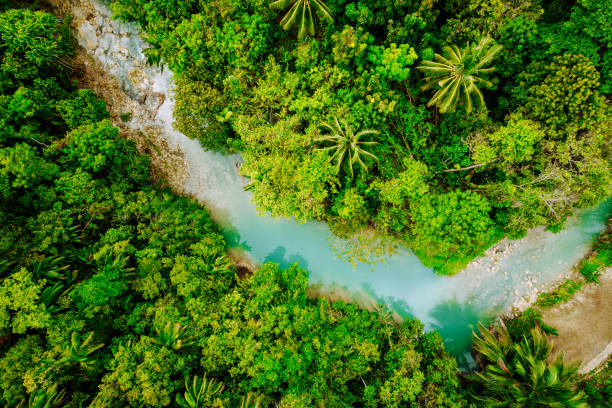 istock Drone view of a river passing through in the jungle, Philippines 1412817693