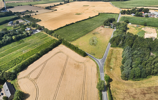 Wheat field from above. Aerial view of small fields and country road.