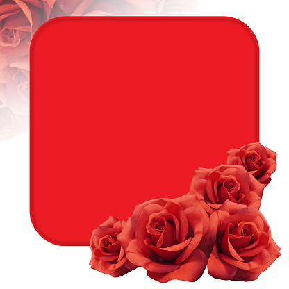 five red rose flowers is placed on the bottom right on a red square, on blur red rose flowers on white background, nature, love, valentine, copy space
