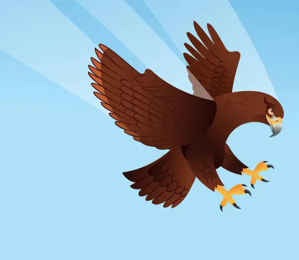 Vector illustration of Golden eagle flying, War Eagle