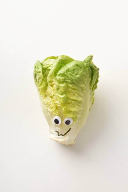 istock Fresh lettuce bud with face on white isolated background 1412835160
