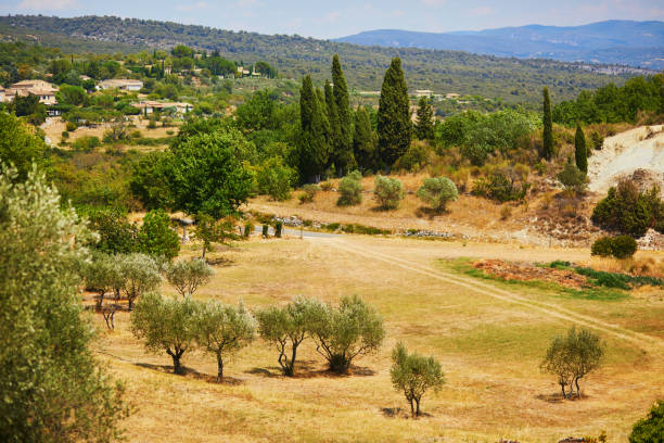 Aerial Mediterranean landscape with cypresses, olive trees and vineyards in Provence, Southern France stock photo