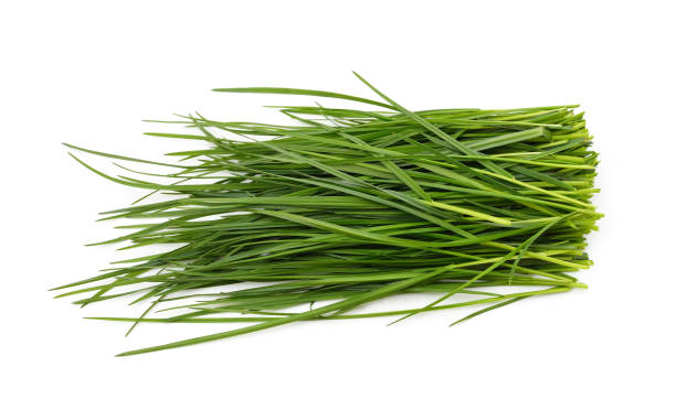 istock Bunch of green grass. 1412841191