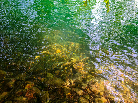Stones in a cold natural lake with green water and trees - underwater waves