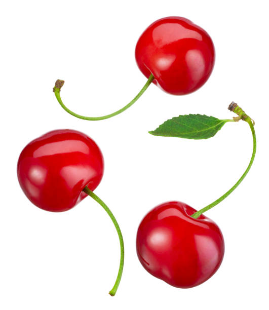 istock Cherry isolated. Cherries with leaf on white background. Top view cherries. Flat lay sour cherri collection with clipping path. Full depth of field. 1412851010