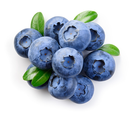 Fresh blueberries in a bowl. Healthy food concept.