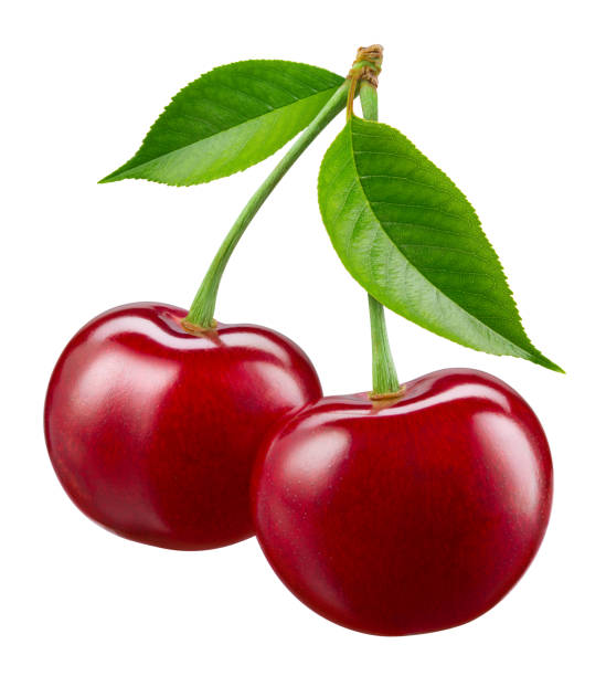 istock Cherry isolated. Two cherries with leaf on white background. Sour cherri on white. With clipping path. Full depth of field. 1412851149