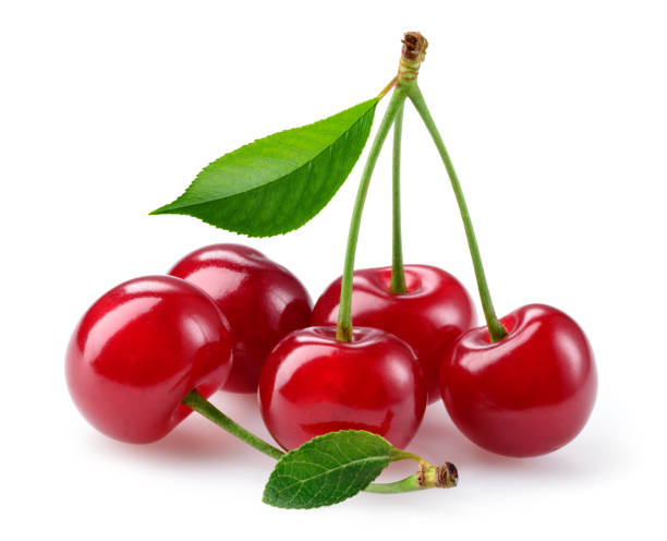 istock Cherry isolated. Cherries with leaf on white background. Sour cherri on white. Cherry leaf. Full depth of field. 1412851229