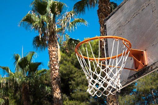 A basketball hoop with palm trees behind it in a school. Back to school