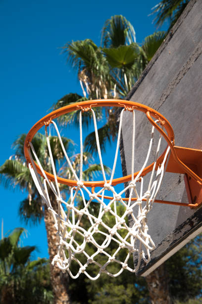 istock A basketball hoop with palm trees behind it in a school. 1412851997