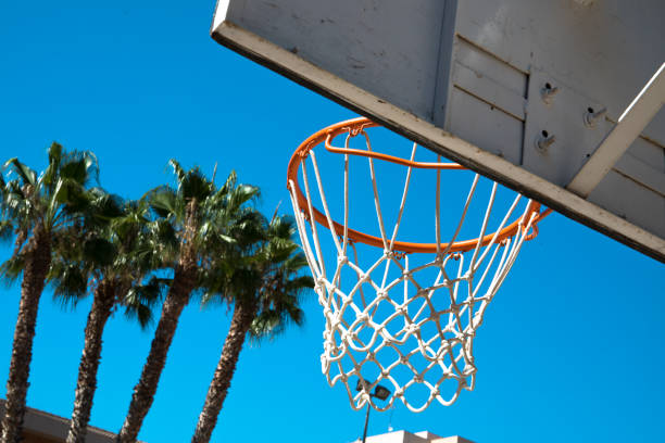 istock A basketball hoop with palm trees behind it in a school. 1412852002