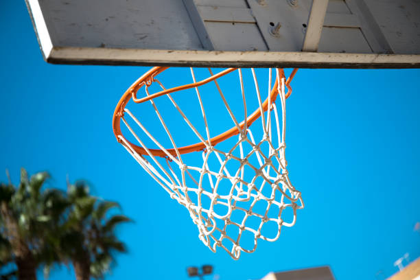 istock A basketball hoop with palm trees behind it in a school. 1412852005