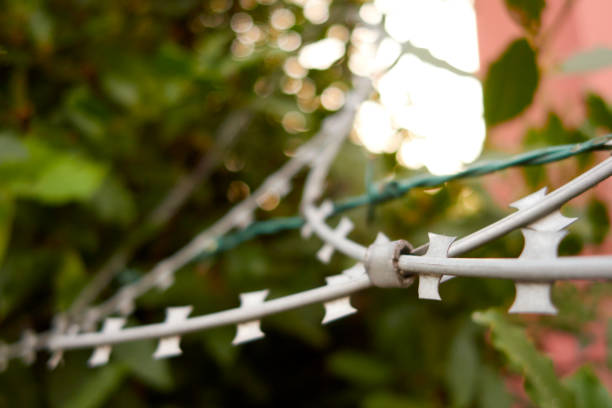 istock Barbed Wire Fence Close-up 1412852168