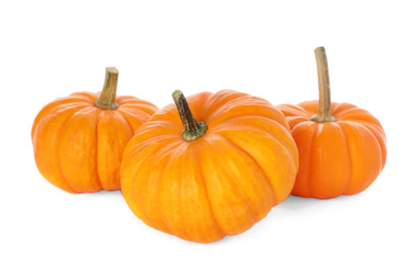 istock Fresh ripe orange pumpkins on white background 1412854426