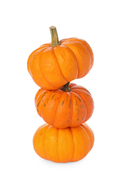 istock Stack of fresh ripe pumpkins on white background 1412854427