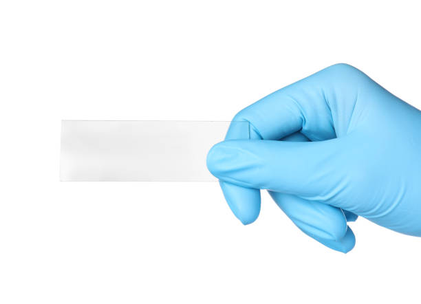 istock Scientist holding clean microscope slide on white background, closeup 1412855884