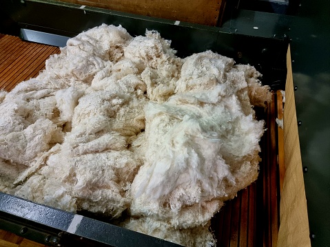 Raw cotton material before processing in different steps to yarn and fabric.