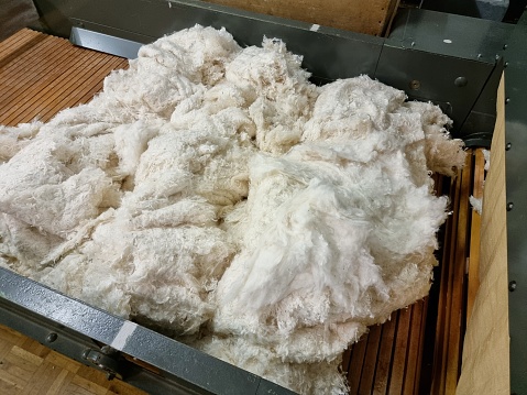 Raw cotton material before processing in different steps to yarn and fabric.
