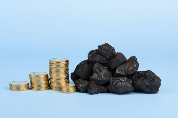 파란색 배경에 동전이 쌓인 검은 색 단단한 석탄 - anthracite coal 뉴스 사진 이미지