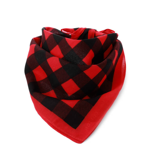 istock Tied red bandana with check pattern isolated on white 1412860289