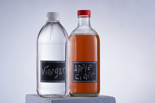 apple cider vinegar and white vinegar