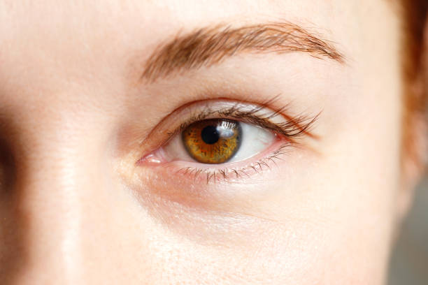 istock Female eye close-up. Brown eyes. 1412861240