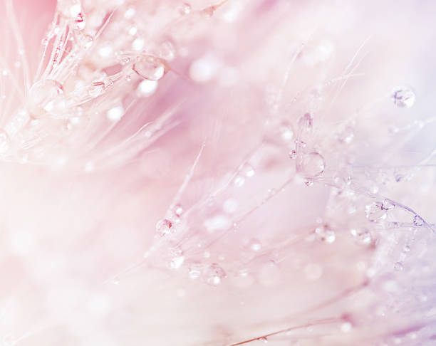 istock abstract background with dandelion umbrellas in water drops 1412864107