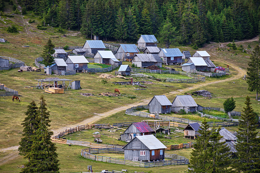 Summer settlements of villagers of Apuseni Mountains in Romania, in Poiana Calineasa place