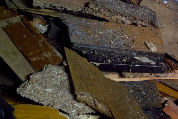 istock Broken pieces of wood 1412865506