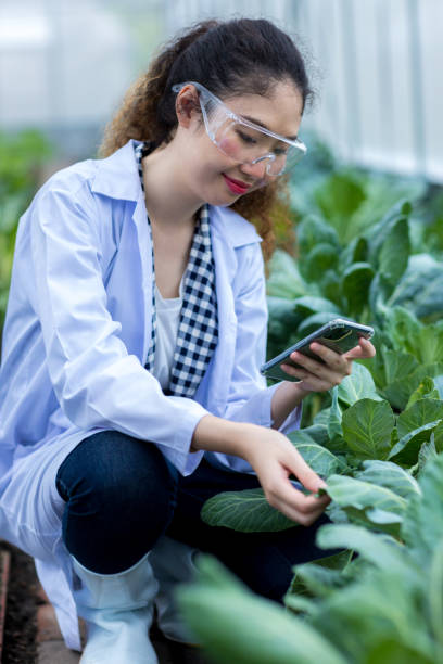istock Scientist using Tablet or Smart Phone. Scientist work at Vegetable Garden Lab site 1412867706
