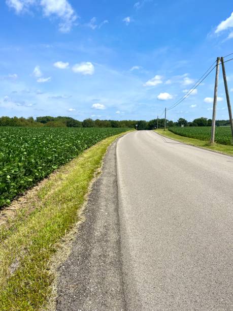 istock Country Road by Soybean Field 1412872351