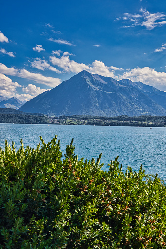 View over Lake Thun in Switzerland at the Swiss Alps