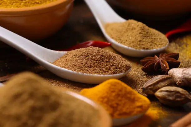 A selection of herbs and spices including Red and Green Chilli Turmeric Cumin Garam Masala making for savory cuisine