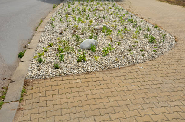 灰色の花崗岩で作られた多年生と石を持つ観賞用の花壇、街の庭のマルチ小石、大草原、装飾草、プールのそばのテラス - pebble water gray silver ストックフォトと画像