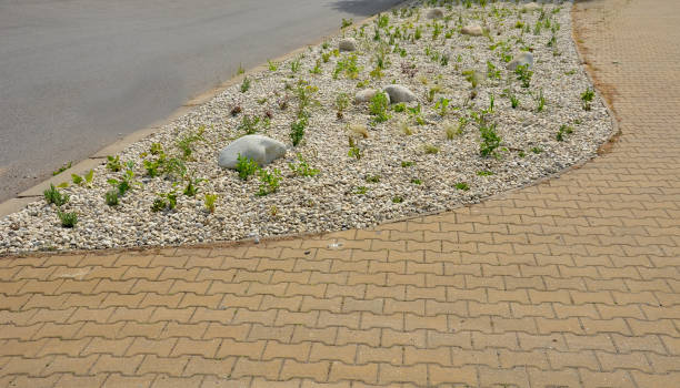 灰色の花崗岩で作られた多年生と石を持つ観賞用の花壇、街の庭のマルチ小石、大草原、装飾草、プールのそばのテラス - pebble water gray silver ストックフォトと画像