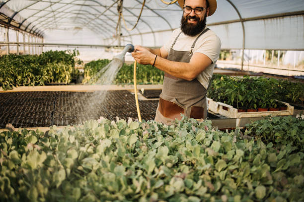 istock Keeping the seedlings fresh and growing 1412877289