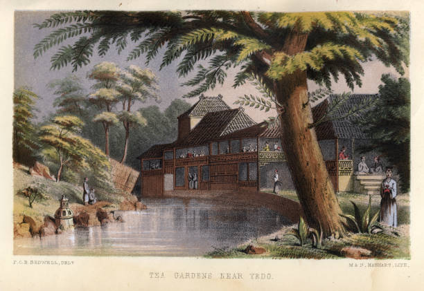 ilustrações de stock, clip art, desenhos animados e ícones de vintage illustration of japanese tea gardens near yedo (edo), japan, history, 19th century - japanese culture landscape landscaped ornamental garden