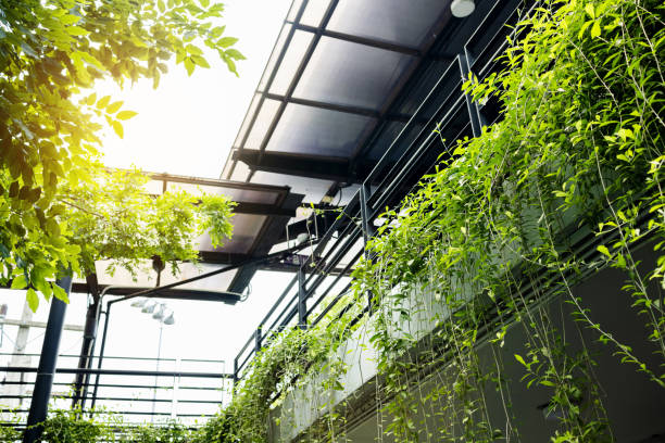istock Plant decorations are planted inside and outside the building. environmentally friendly 1412879804
