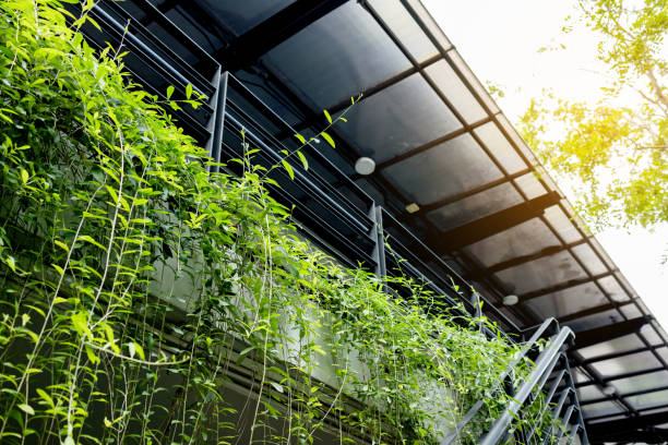istock Plant decorations are planted inside and outside the building. environmentally friendly 1412879815