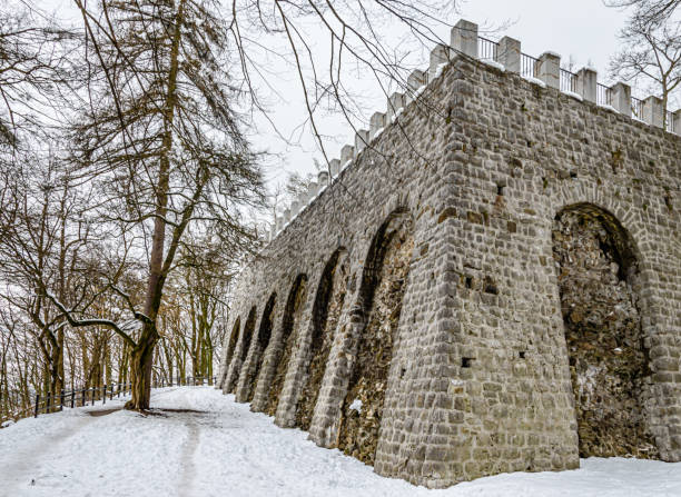 weinberg der burg von ljubljana - castle slovenia winter snow stock-fotos und bilder